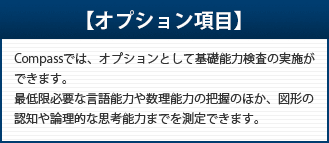オプション項目